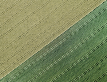 Agricultural Products
